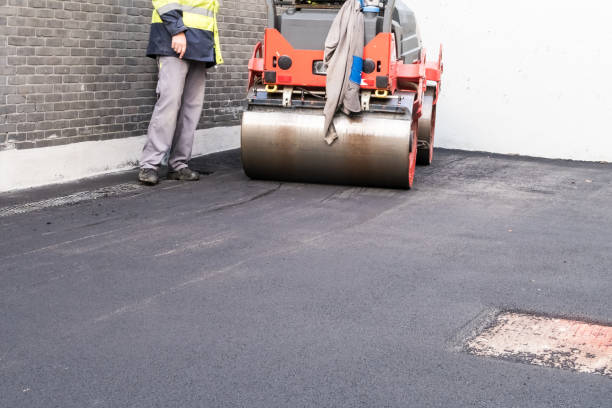 Best Decorative Concrete Driveways  in Auburn, MI